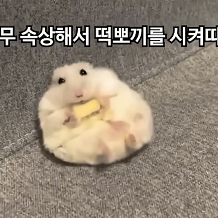 피클맛소고기
