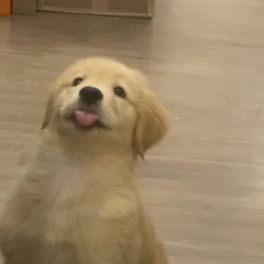영훈씨