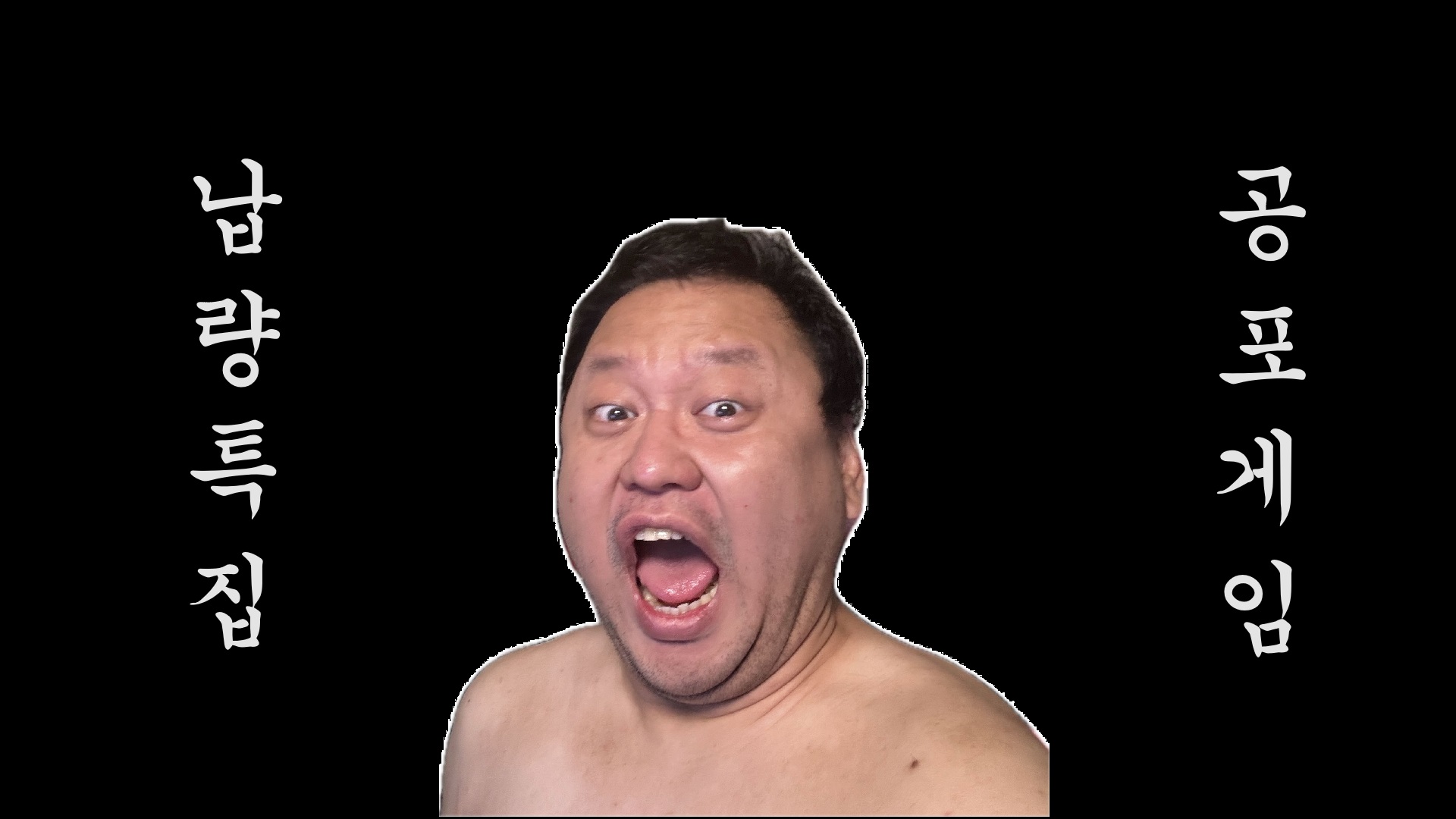 스트리머 모범시민