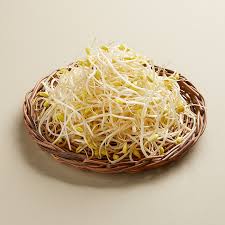 큰콩나물무침123