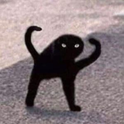 박쿠네