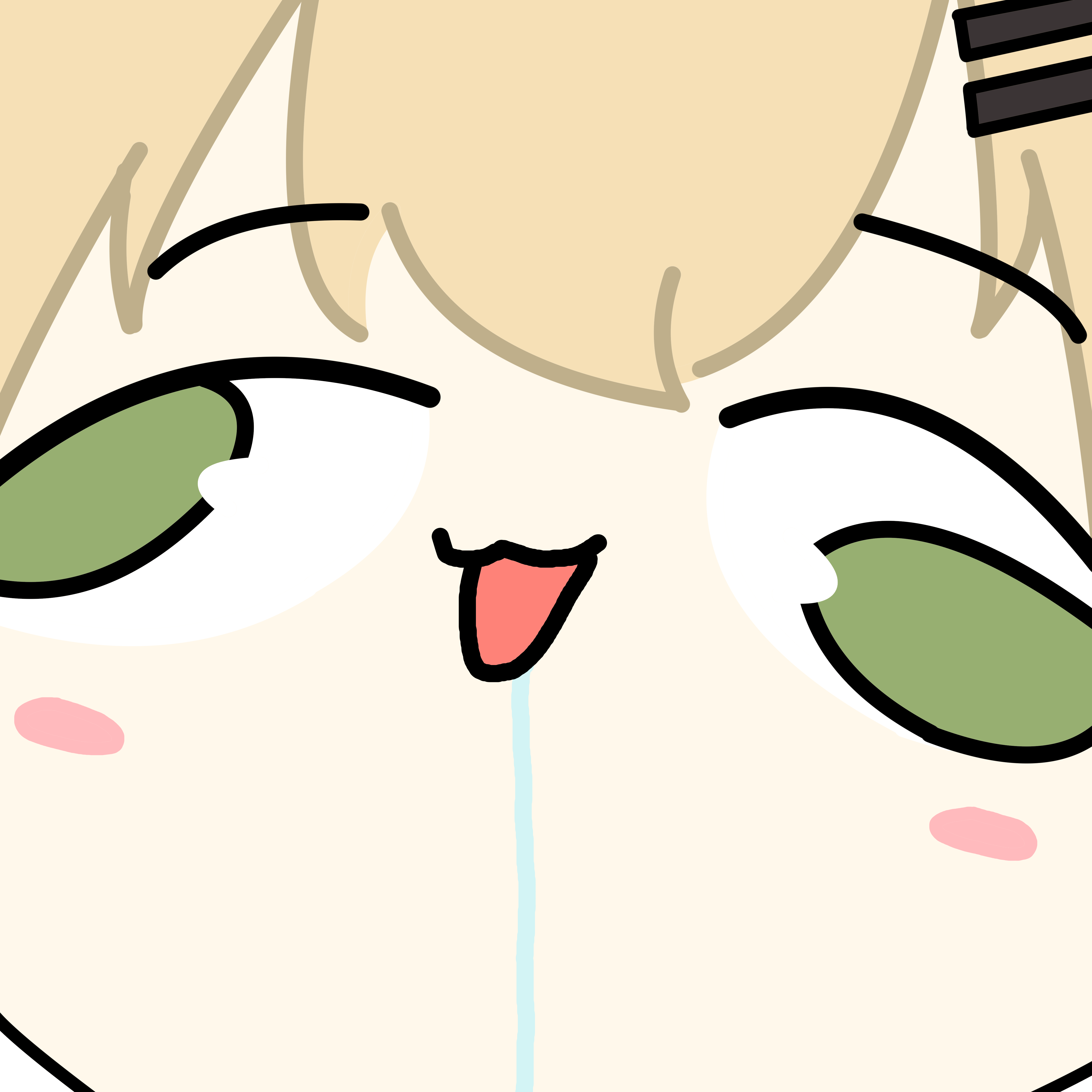 존슨황