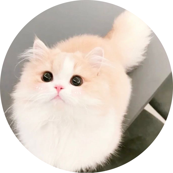모 몌