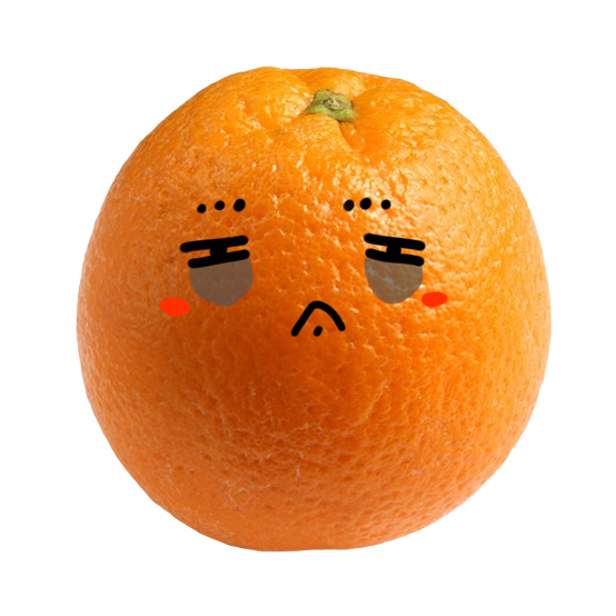 졸린 오렌지 9504665