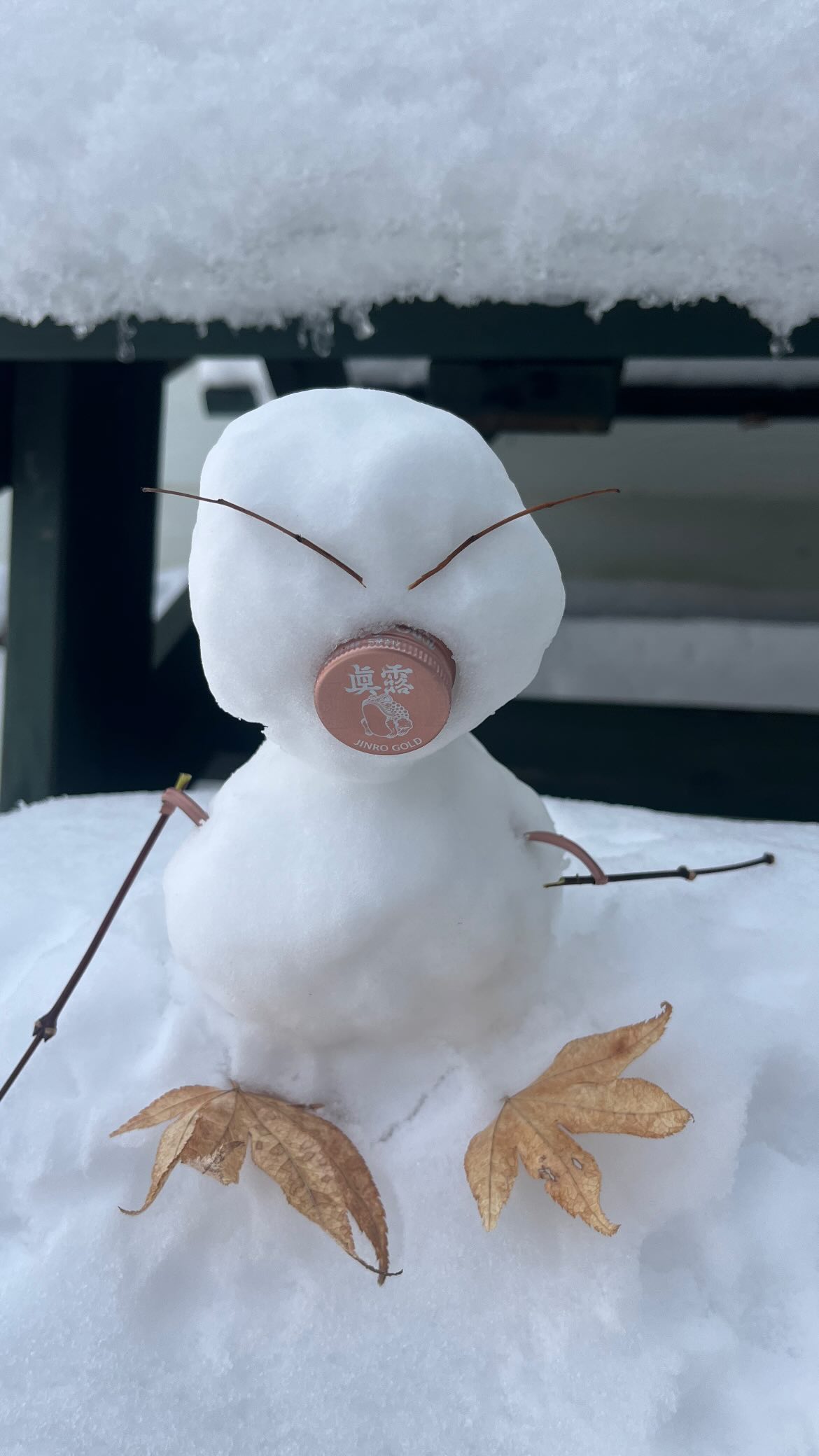 찰나포착꾼 꾸니