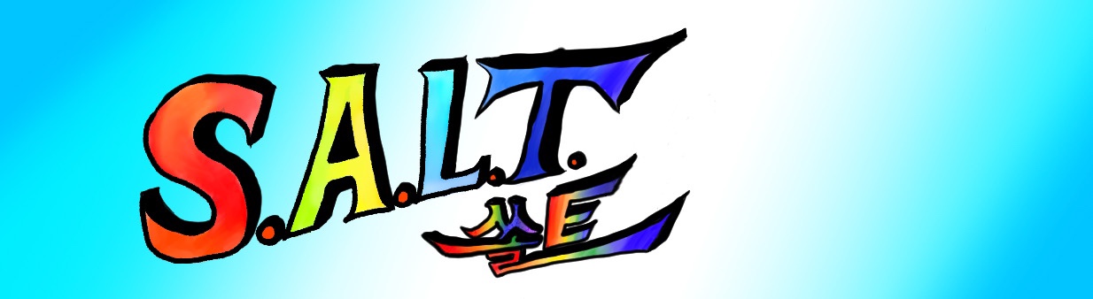 쏠트의 보이는 라디오