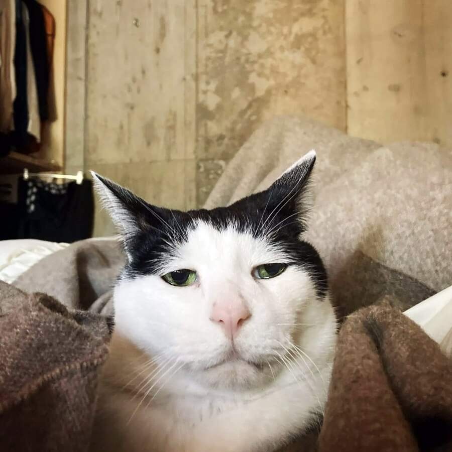 박 빈