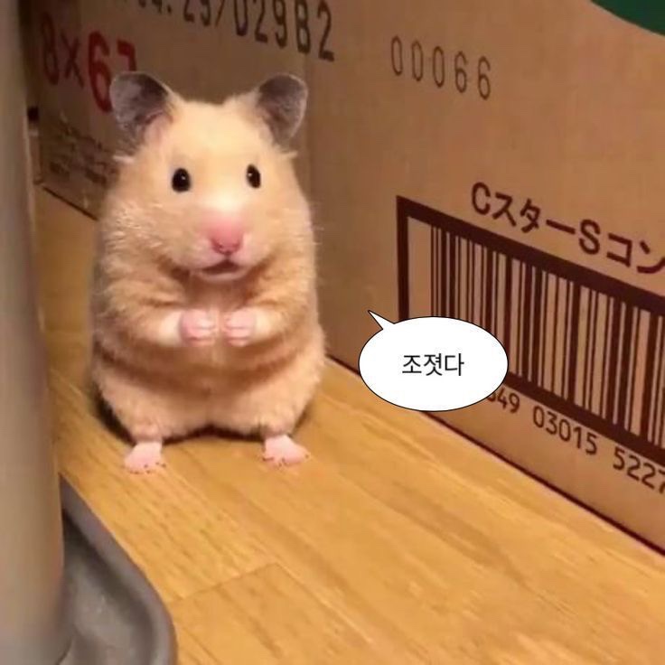 듀 혁