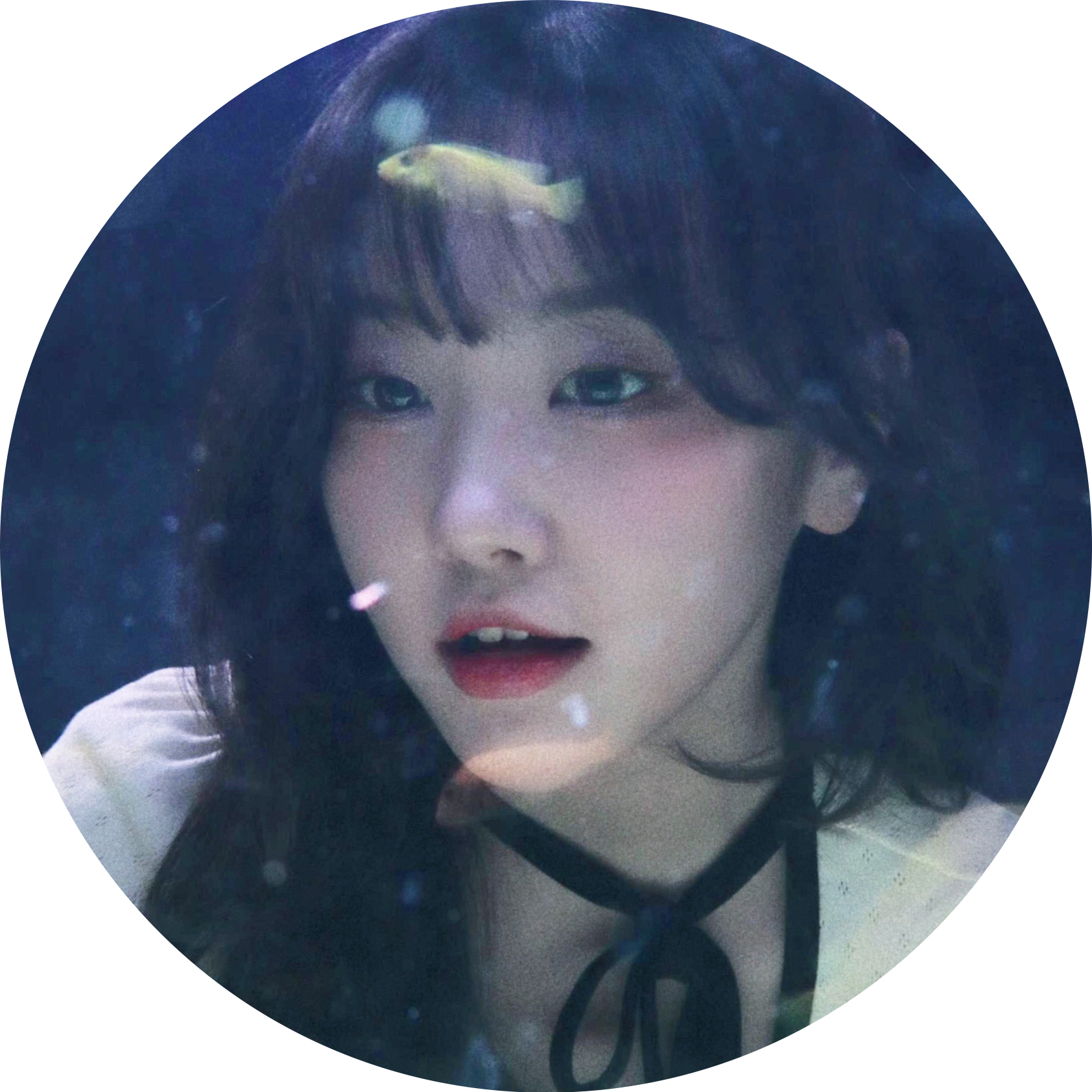 세디언트