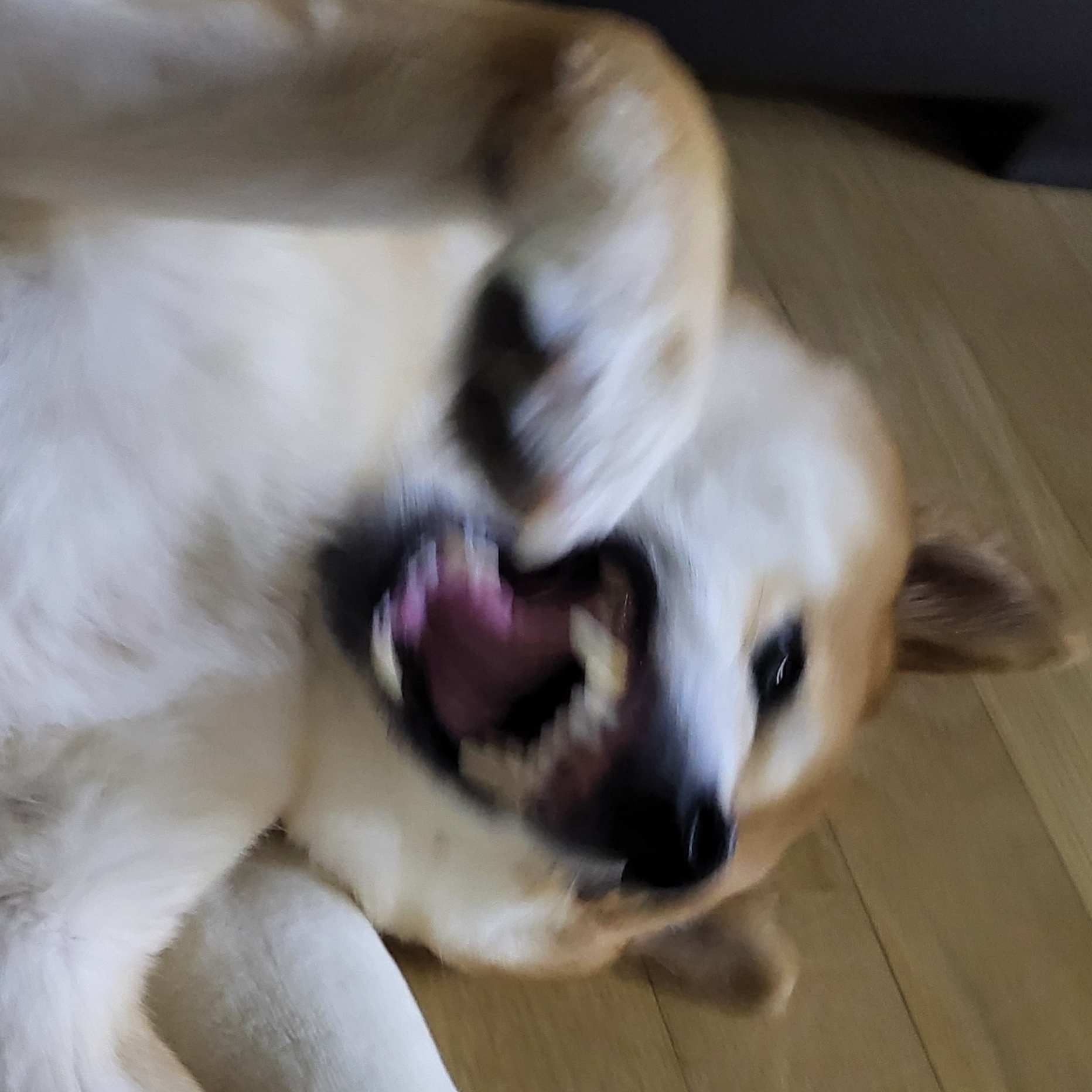 유녁