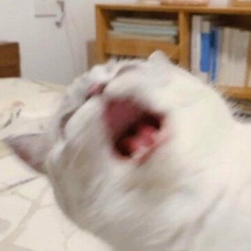 카트한지후