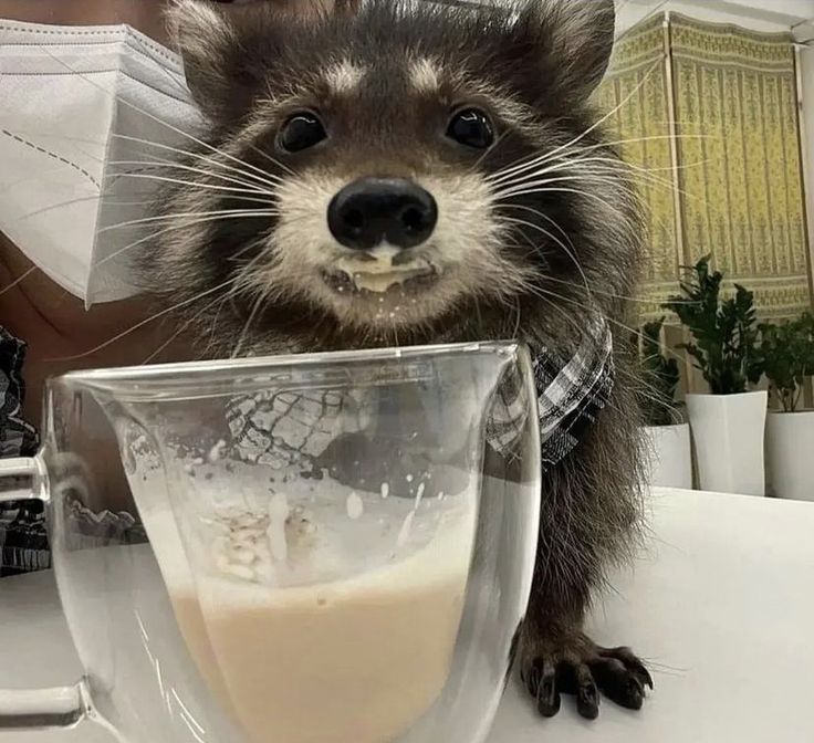 우땨땨를누가써