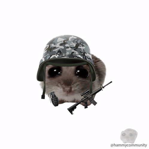 어햄2