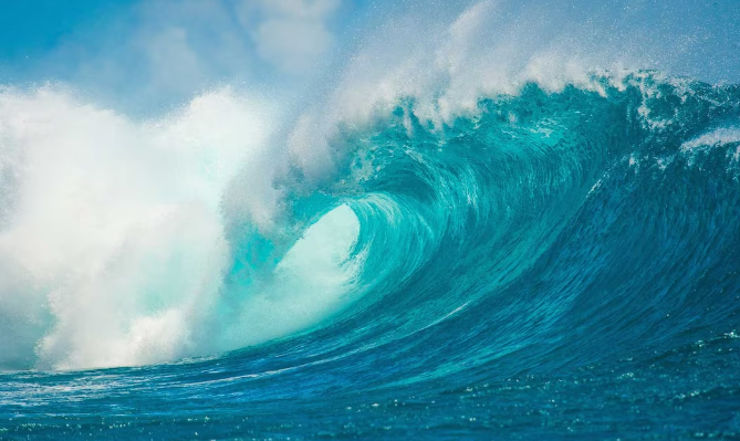 [TEST] 쿠폰테스트_리그 오브 레전드