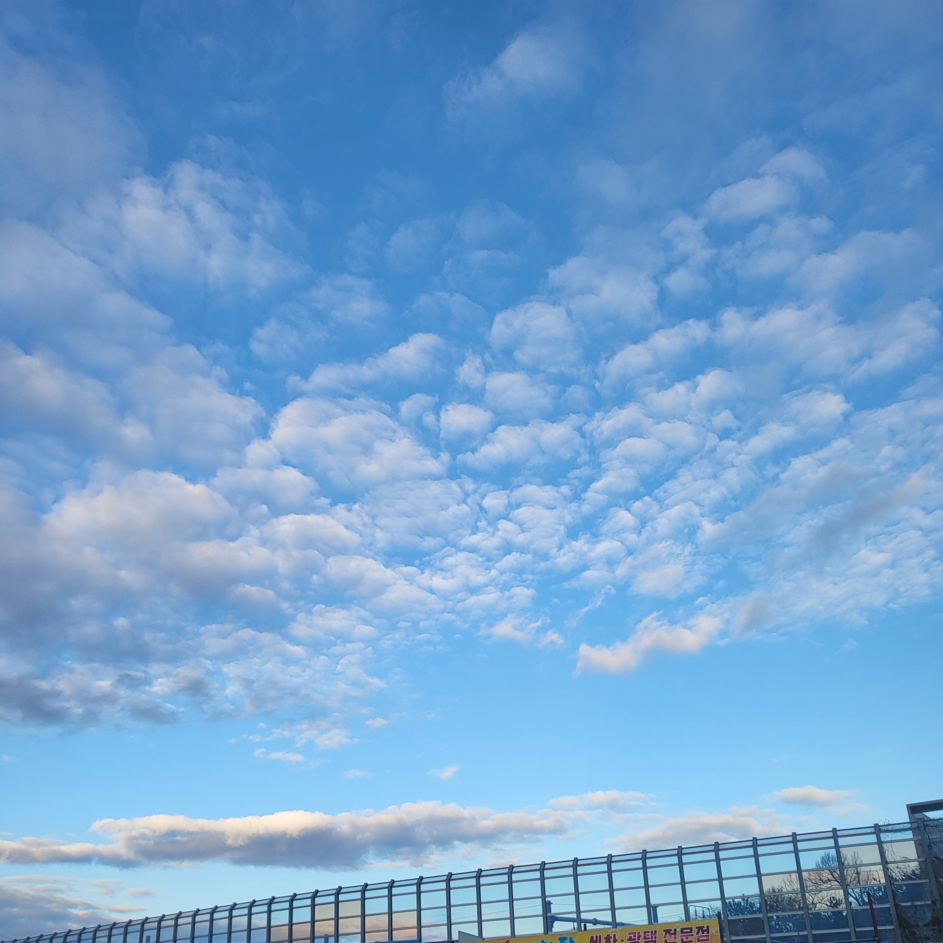 밤새는 고인물 3965