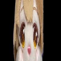 사토노 다이아몬드