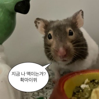 곽두리