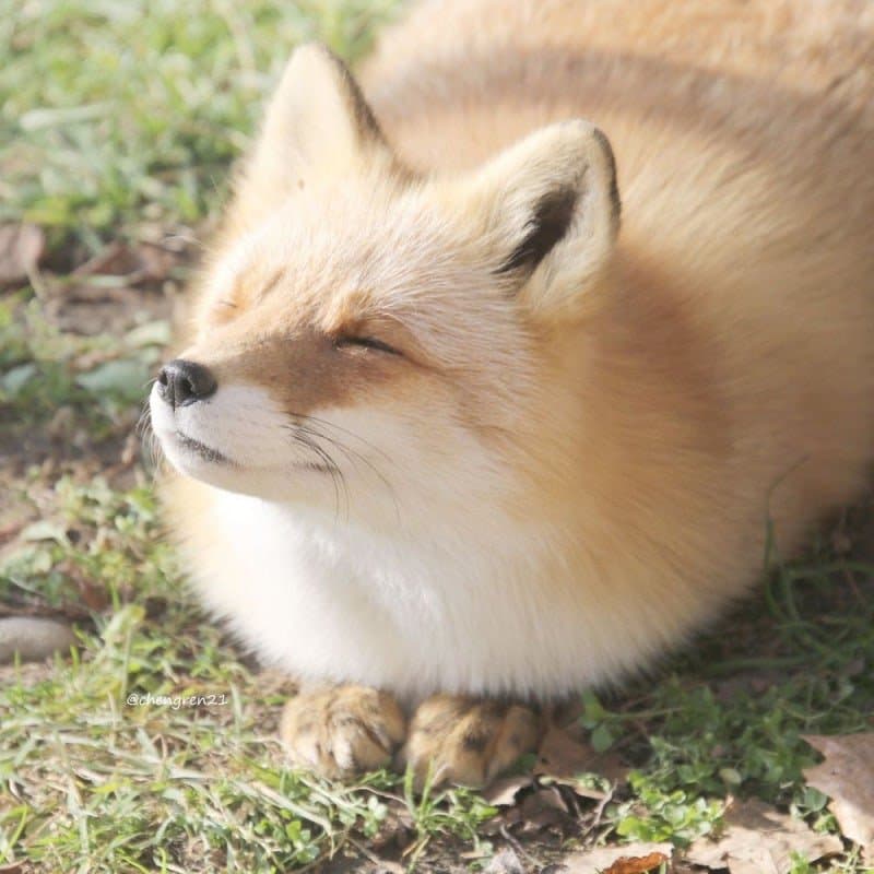 부드러운 첫경험 6974