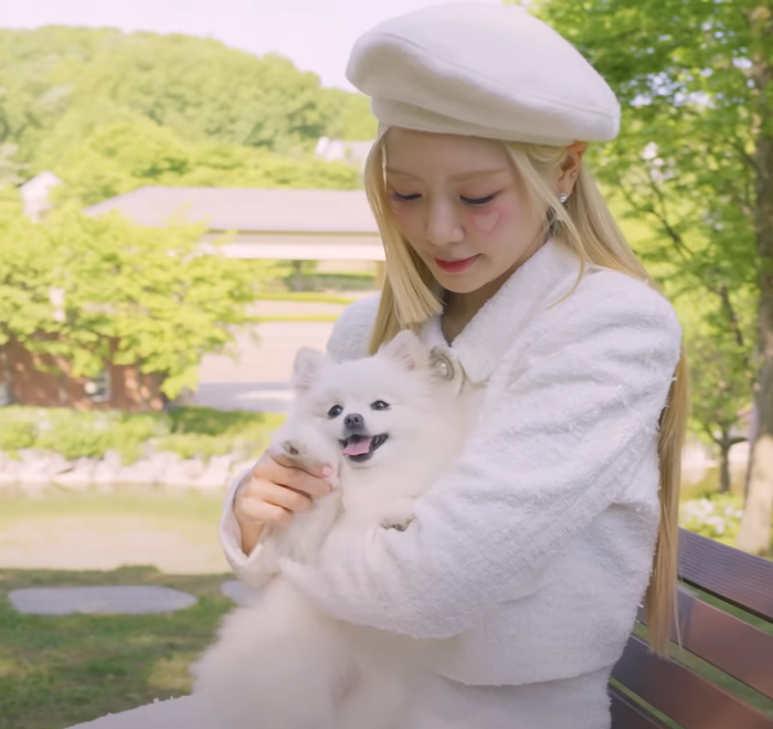 드림노바