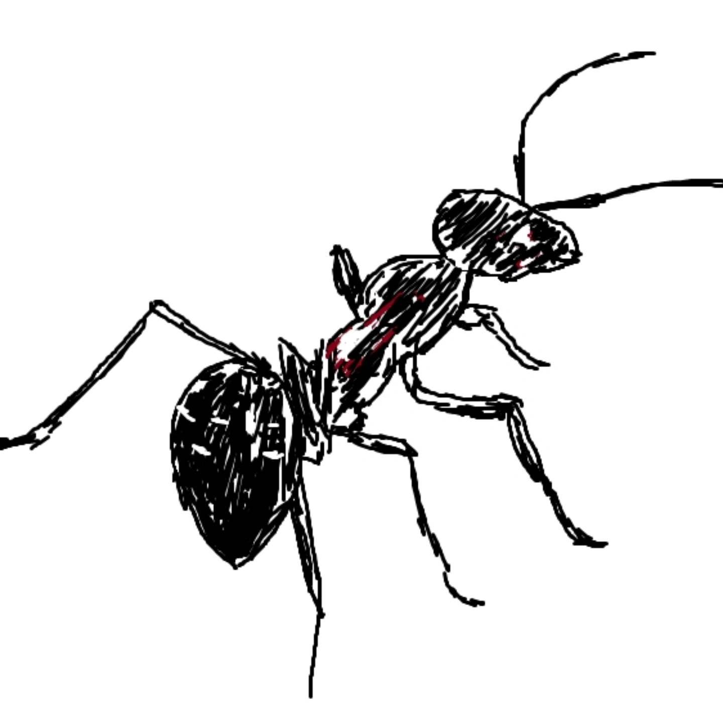 잘자송송