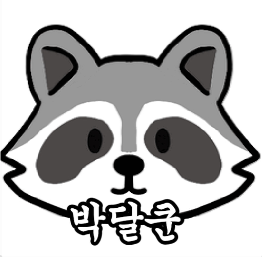 달쿤 Raccoon