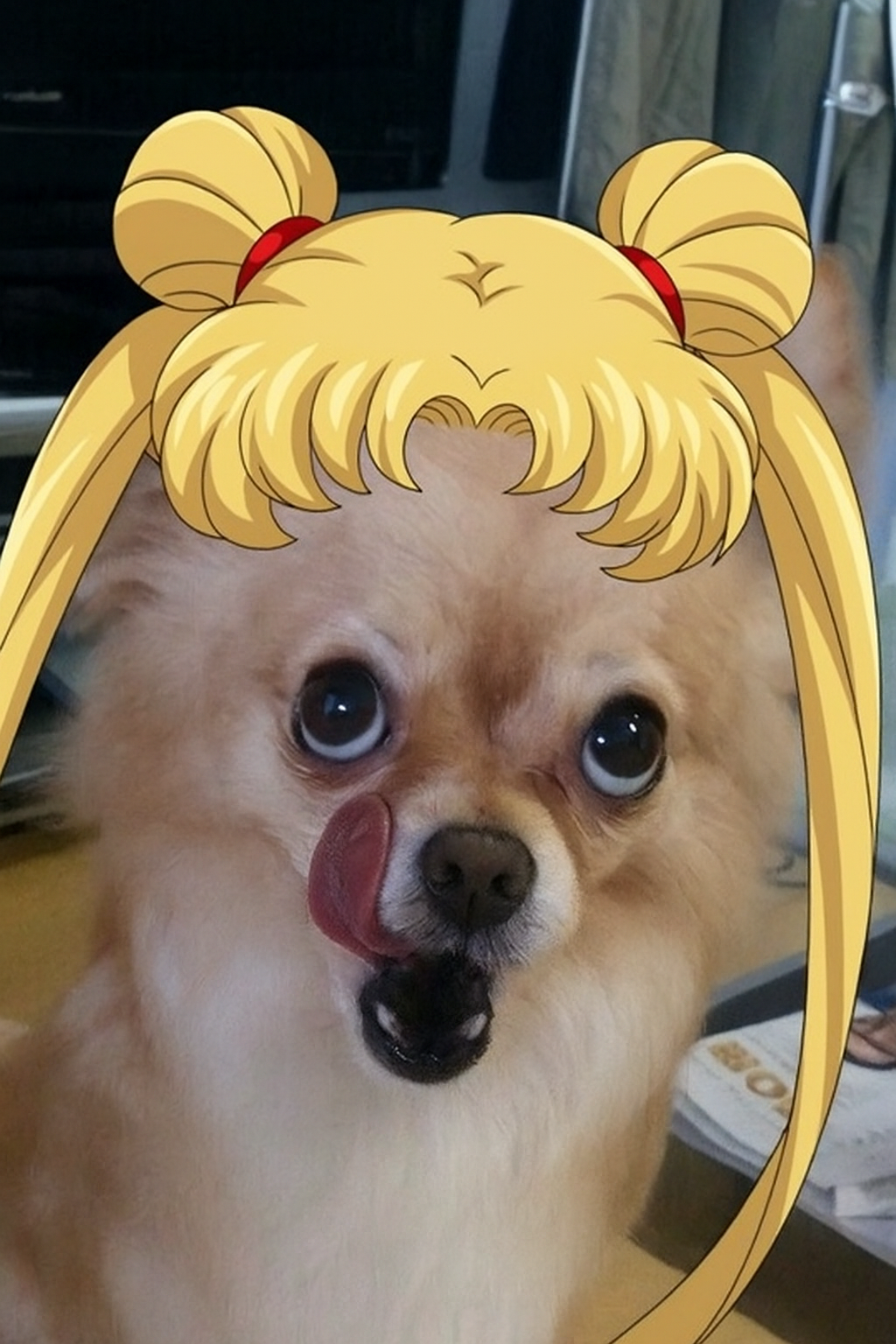 고십장