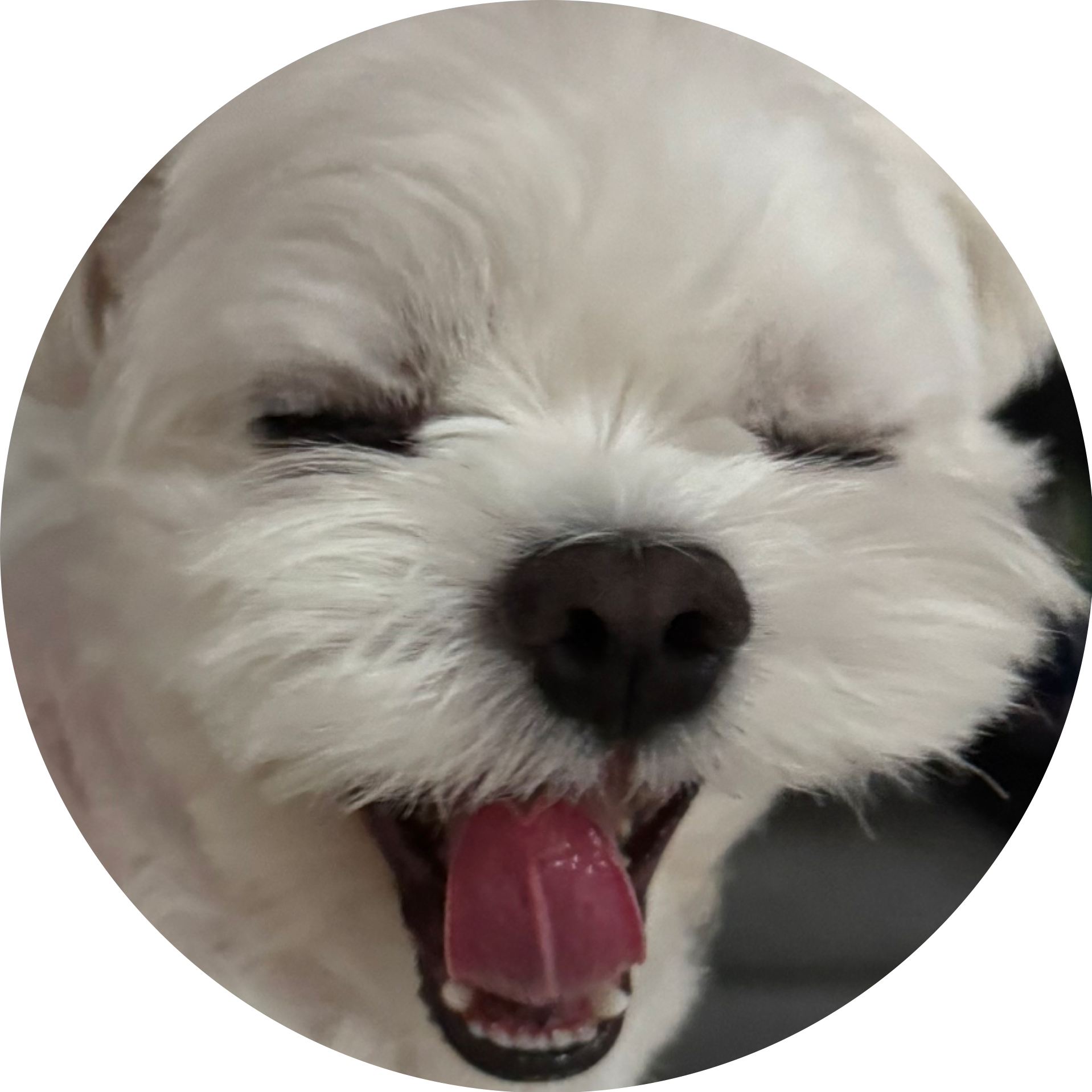 검고정
