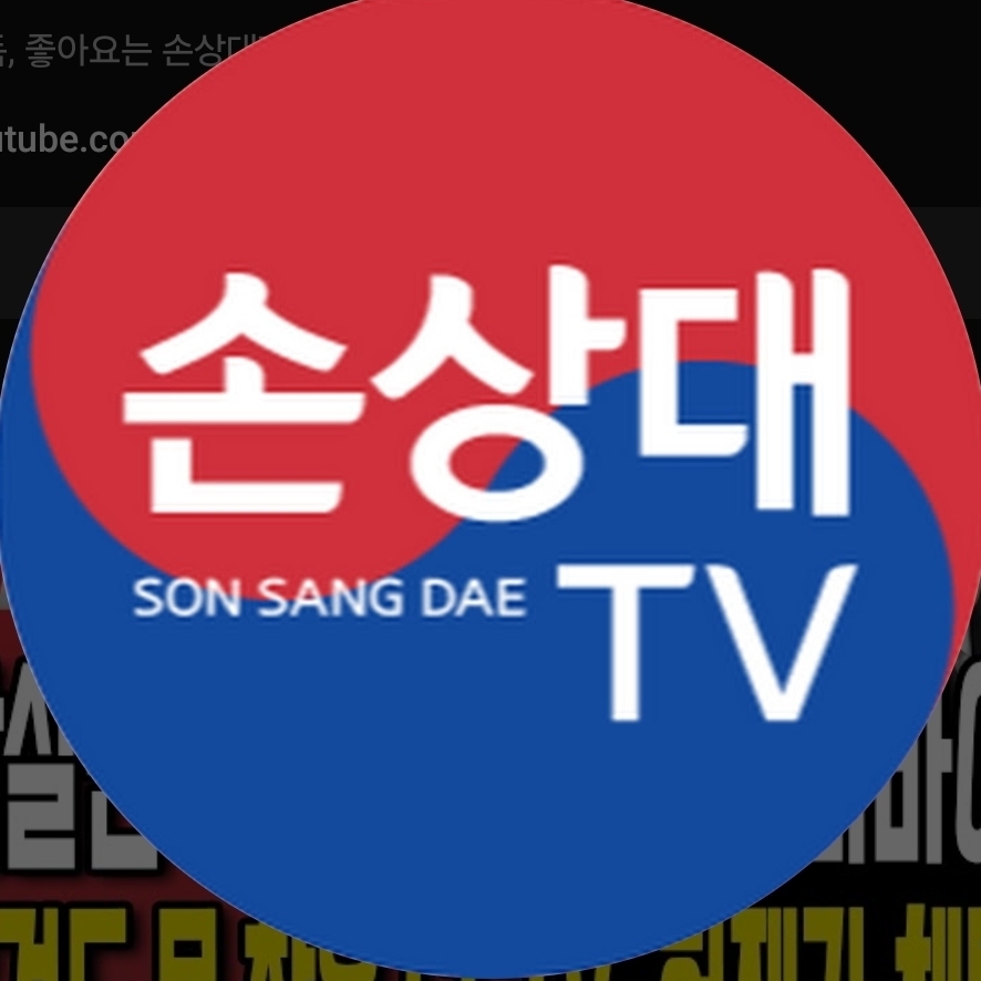 손상대TV2
