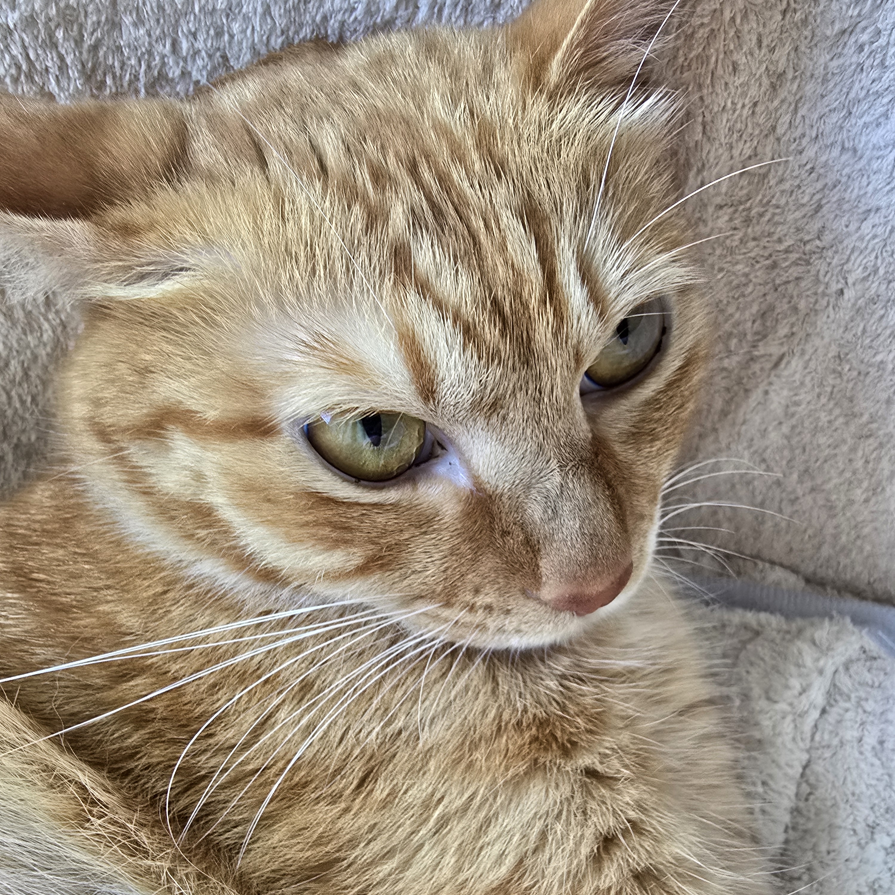 화성갈뻔한사람