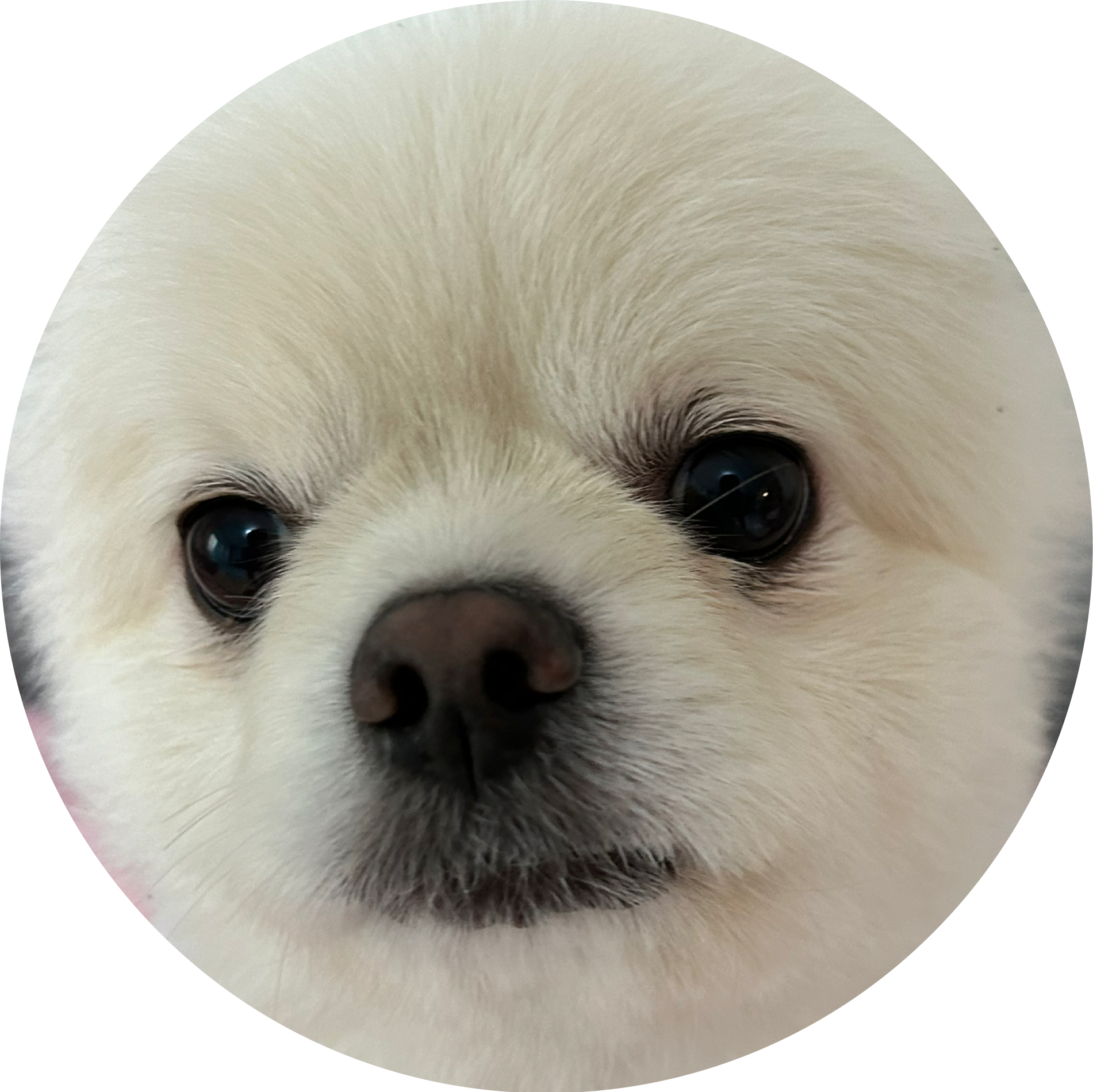 감정적으로겜함