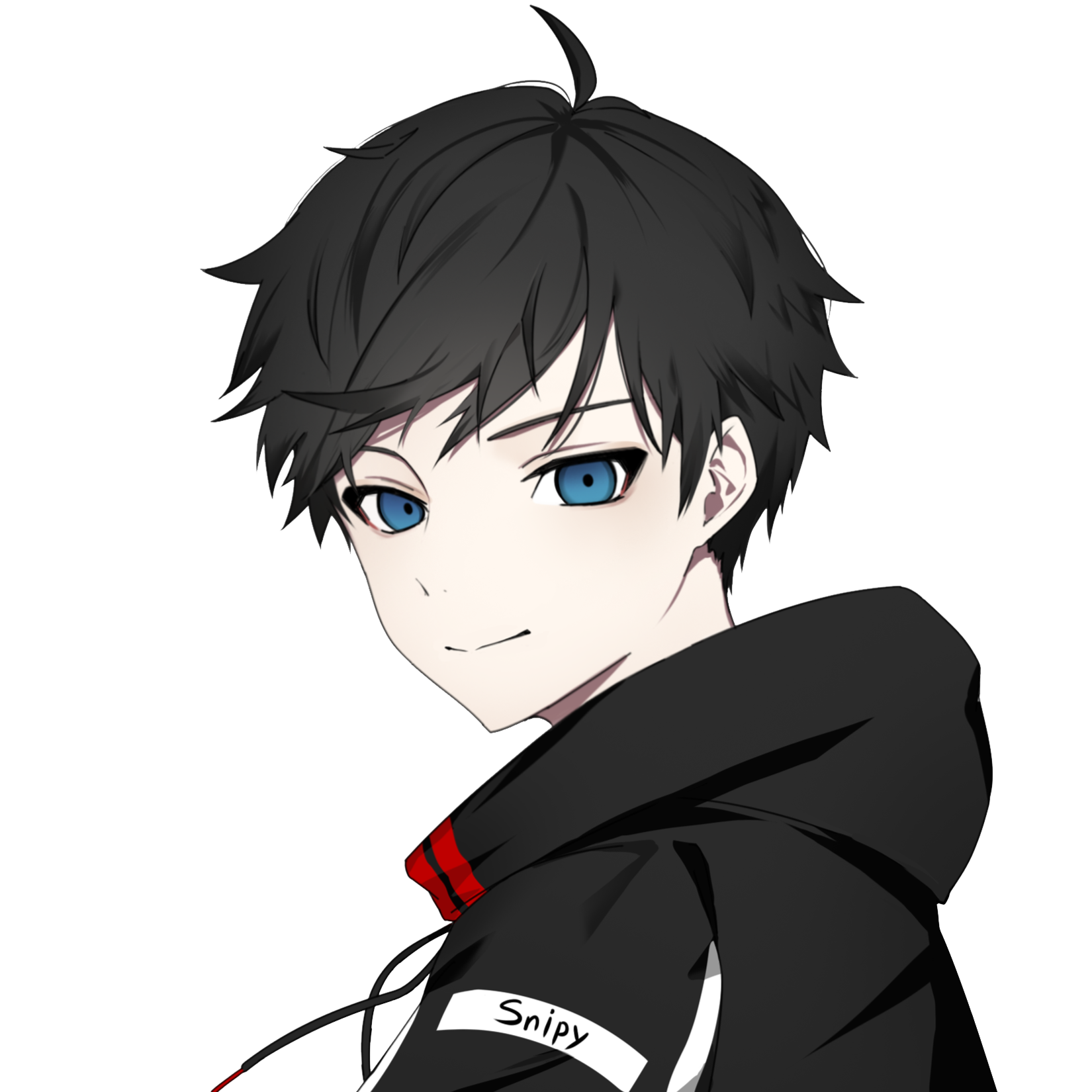 스나이피 SnipyOCE