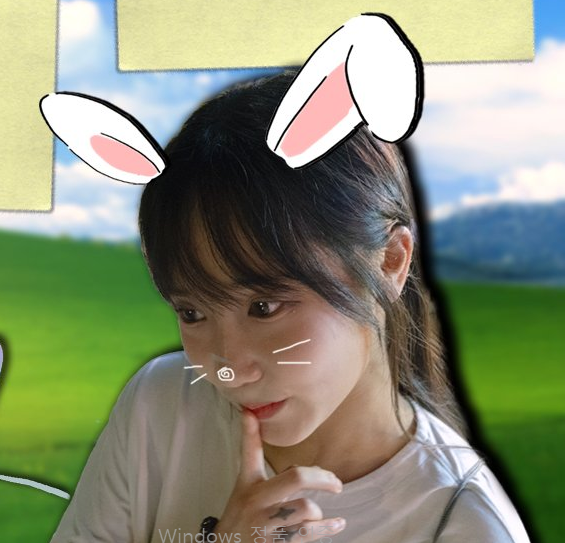 개복치씨gaebokchiC