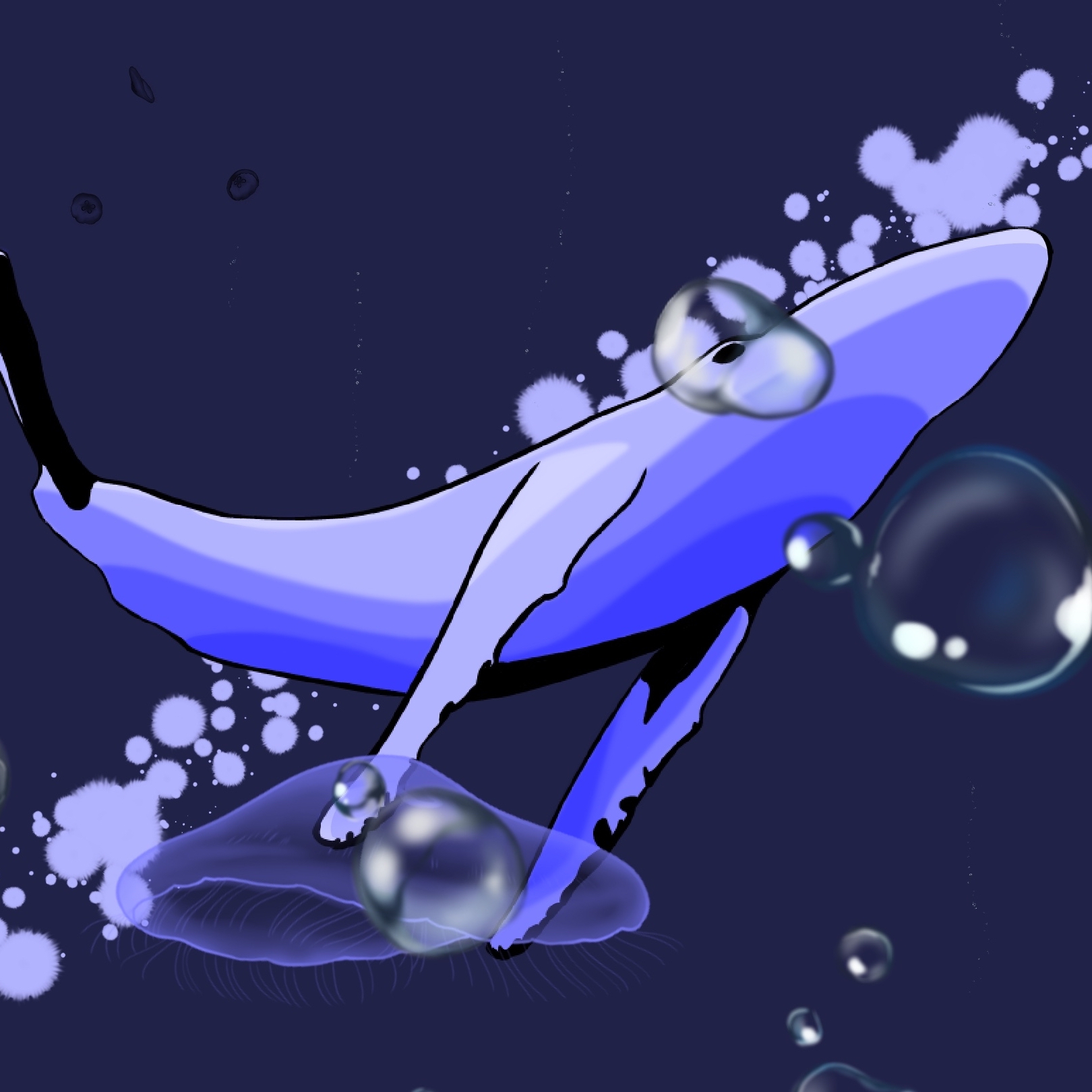 밤잠 없는 부엉이