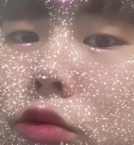 짐 승