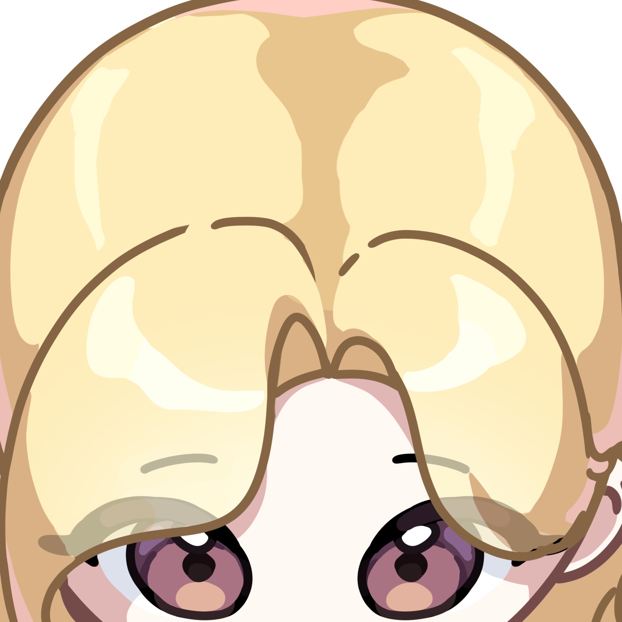 쫀 덕