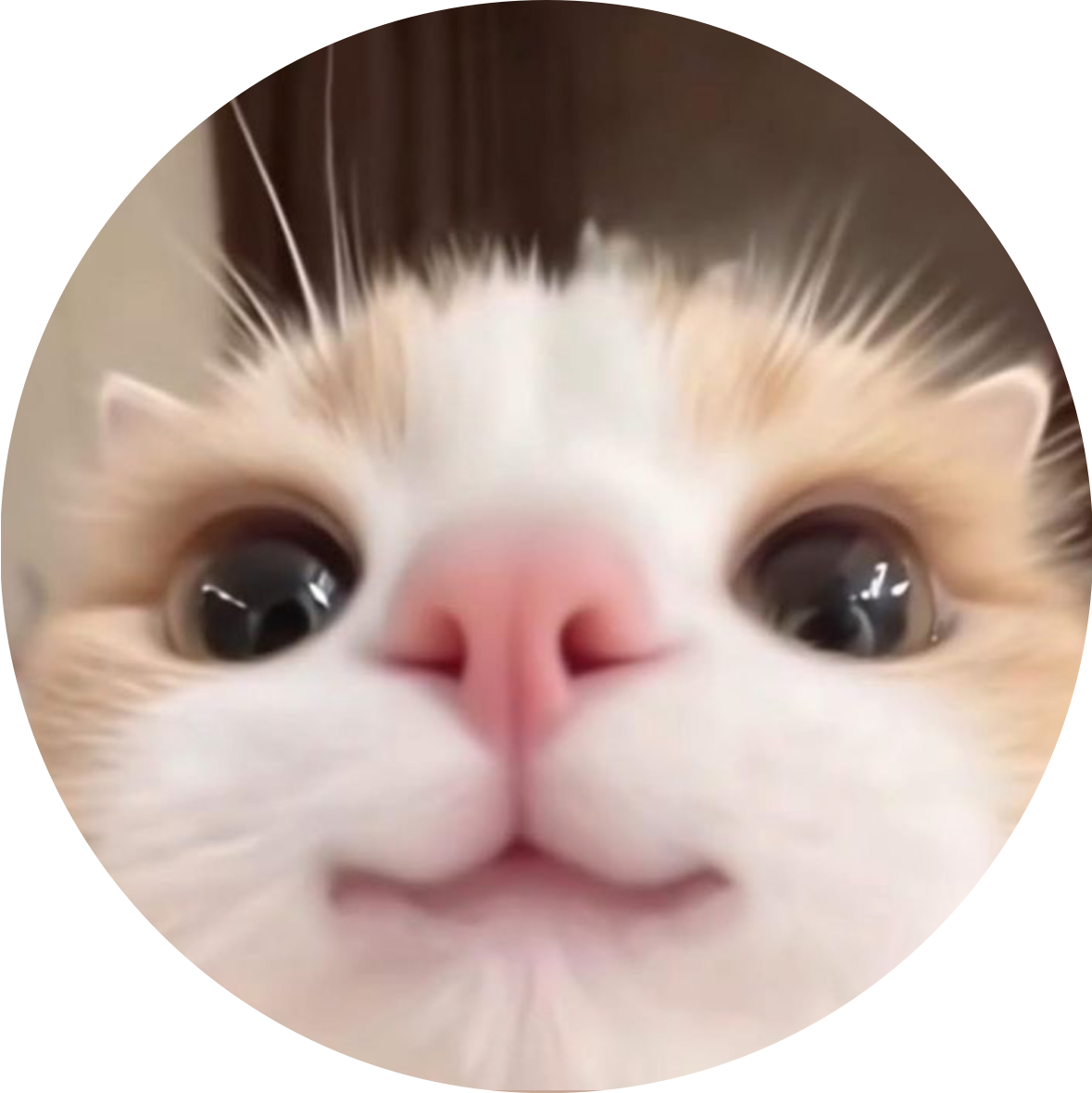 아이큥