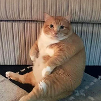 구원받지못한이안