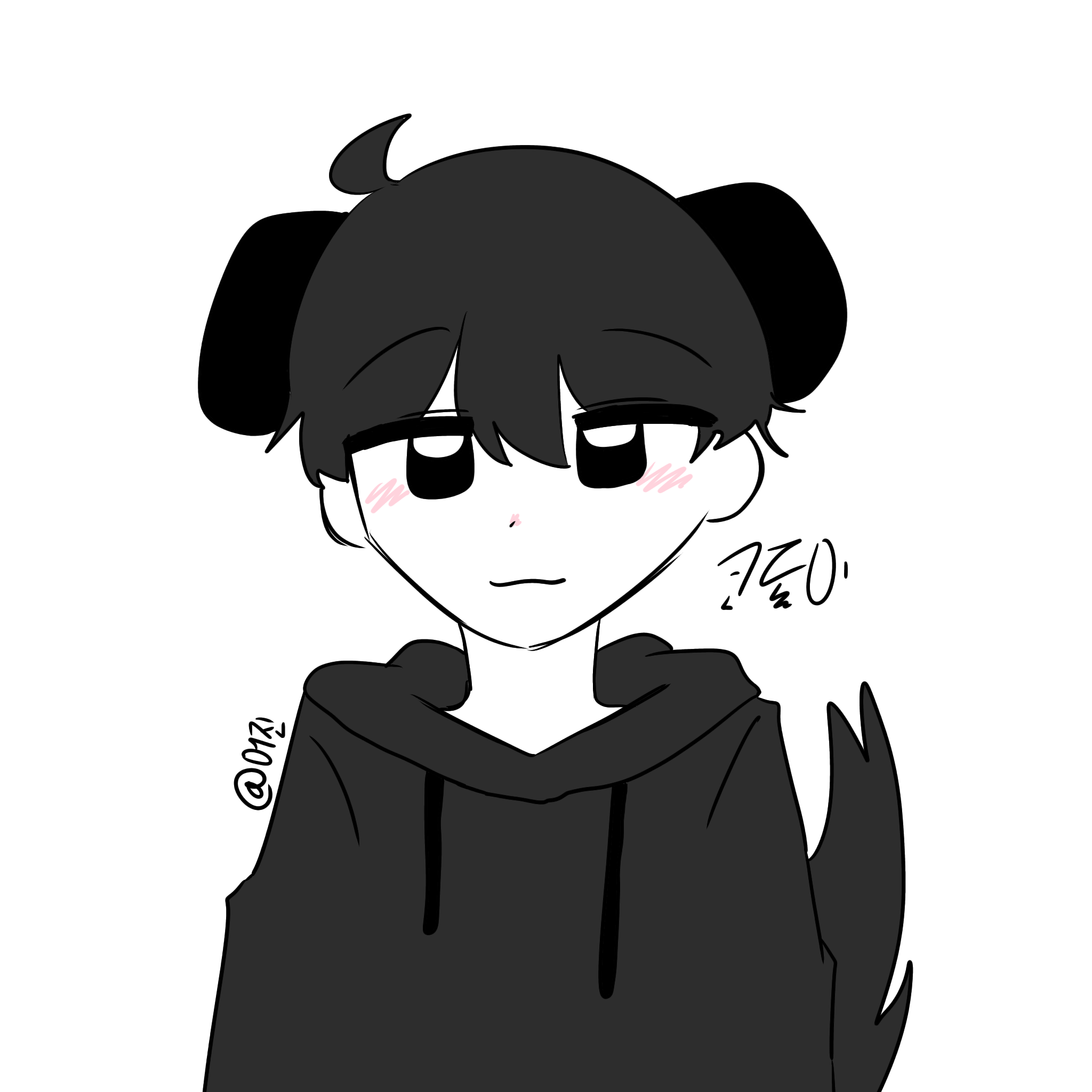 코돌이 and 송돌이