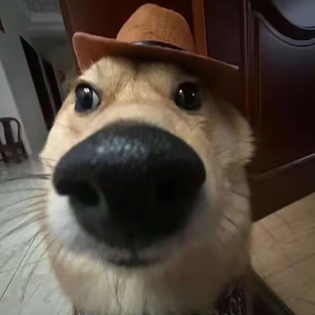 해효1
