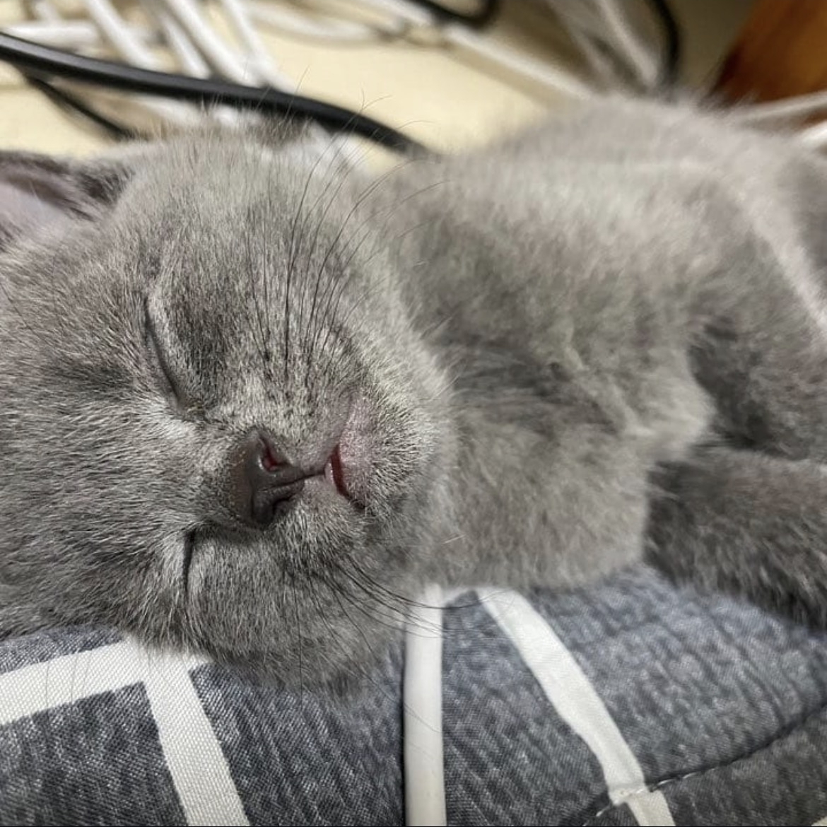 덧없음