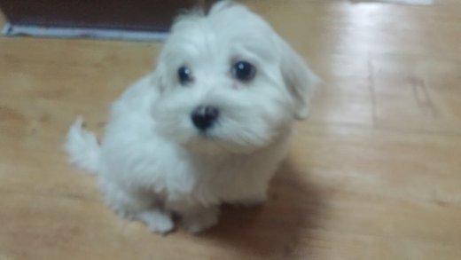 감성혁