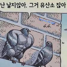 아시안멸치