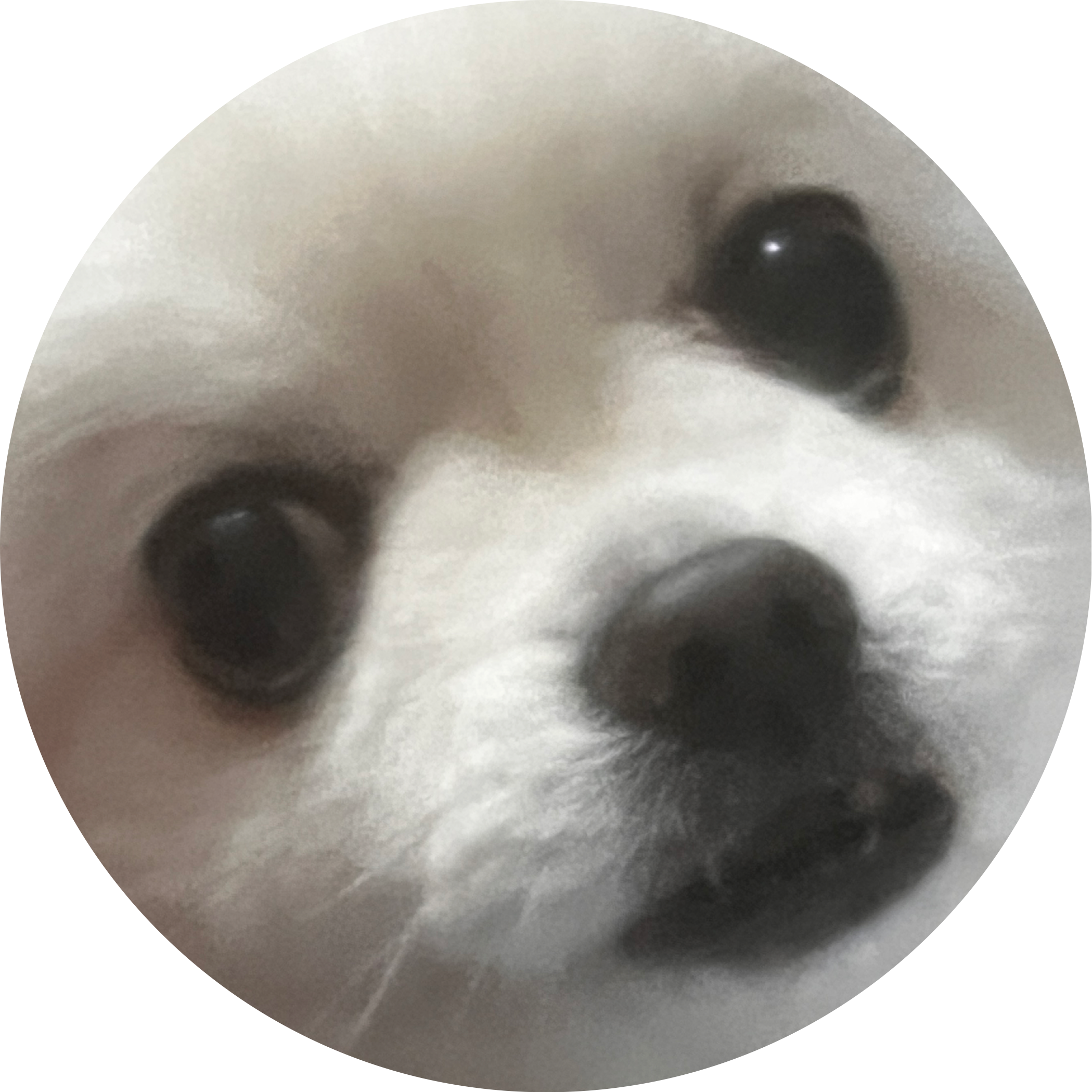라스코