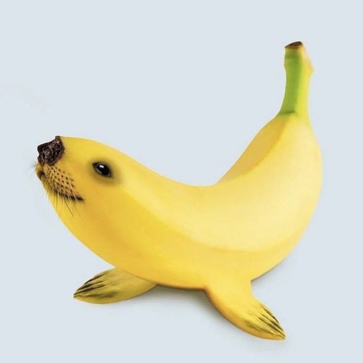 가로소