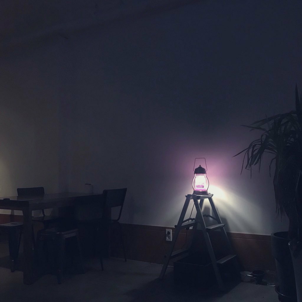 시들어버린장미65124