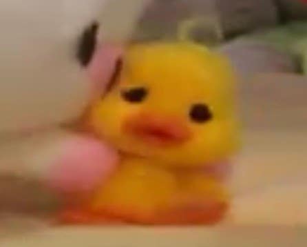 게임선생피오리