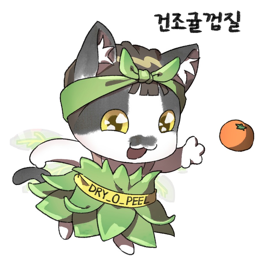 건조귤껍질