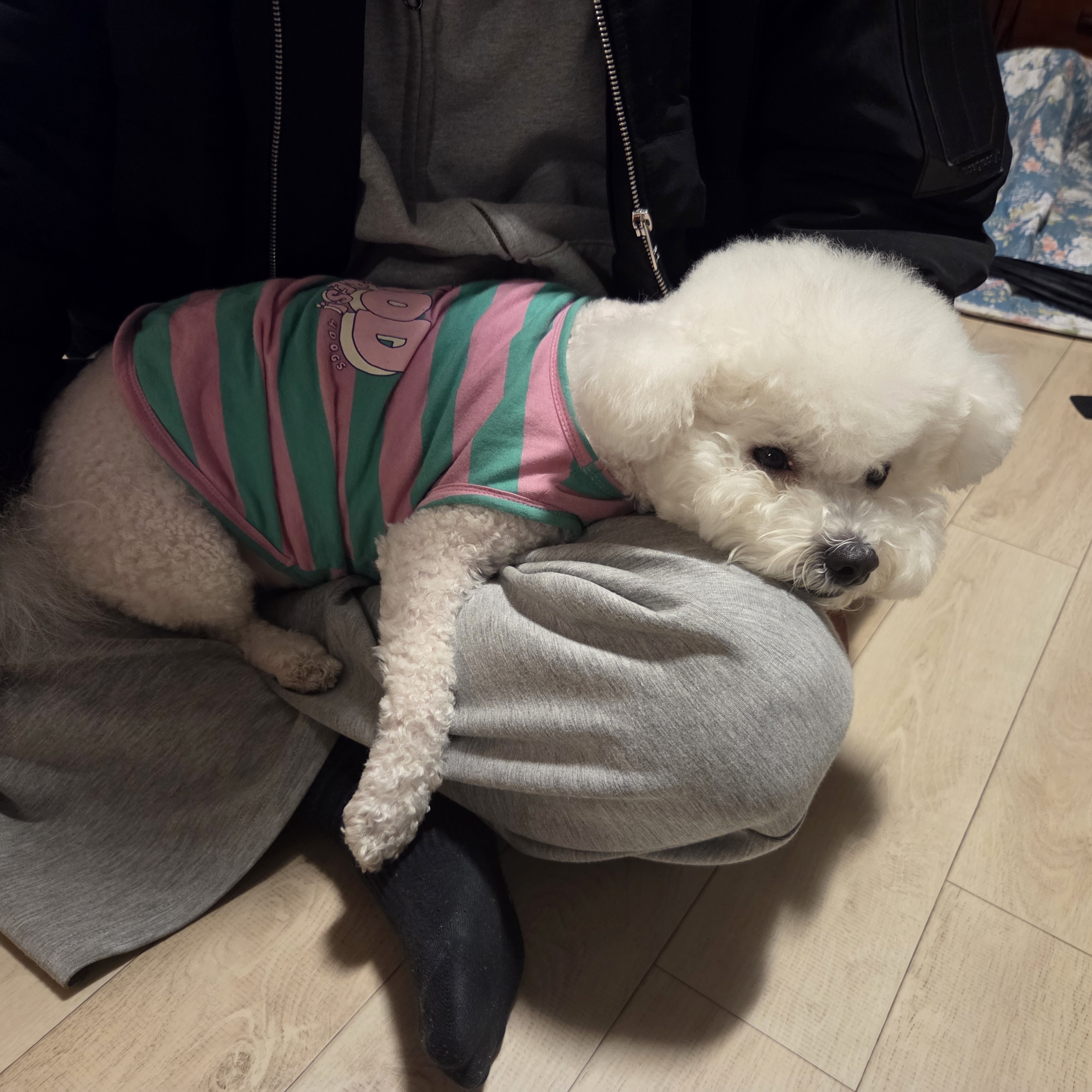 빛바누리