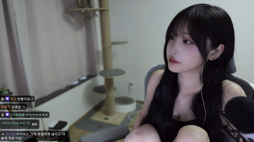 만팔이다아