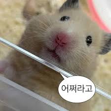 에이스하고싶다